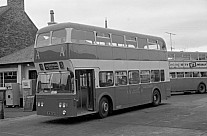 EAG267D AA(Young),Ayr