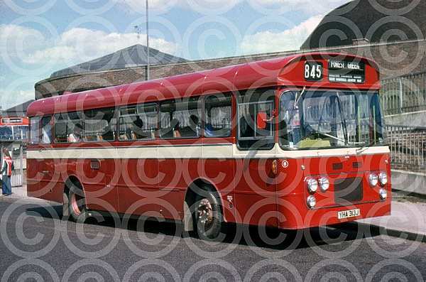 YHA313J Brown,Forest Green BMMO(Midland Red)