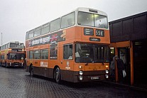 DWH695W GM Buses GMPTE(LUT)