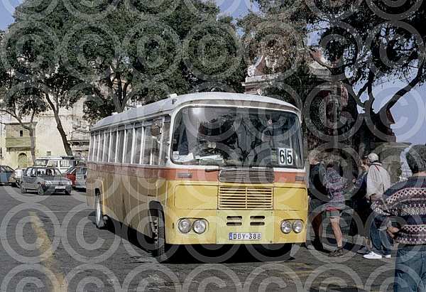DBY388 Malta Buses