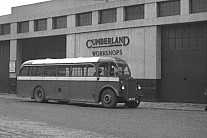 GAO505 Cumberland MS