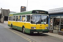 AWT702S Yorkshire Terrier Rotherham & District West Riding