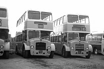 RAO730 / SAX773 Lofty's,Mickle Trafford Cumberland MS Red & White