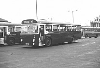 CCN719D Northern General