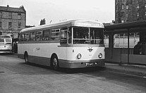 EWG240 Scottish Omnibuses(Starks) Leyland Demonstrator