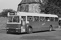 277AUF Norfolks Nayland Southdown MS
