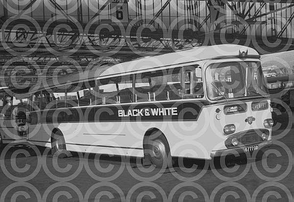 6777DD Black & White,Cheltenham