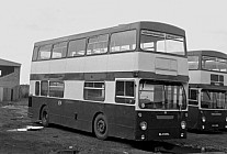 MLK555L Bedlington & District London Transport