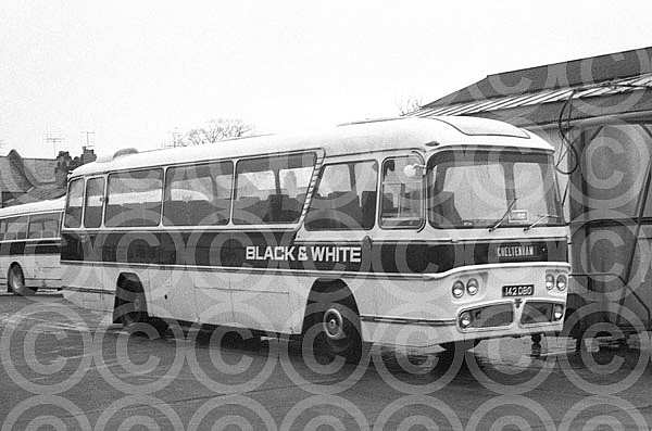 142DBO Black & White,Cheltenham Western Welsh