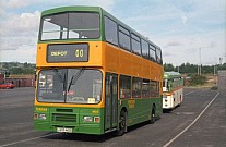 L605NOS Yorkshire Terrier Sheffield Omnibus