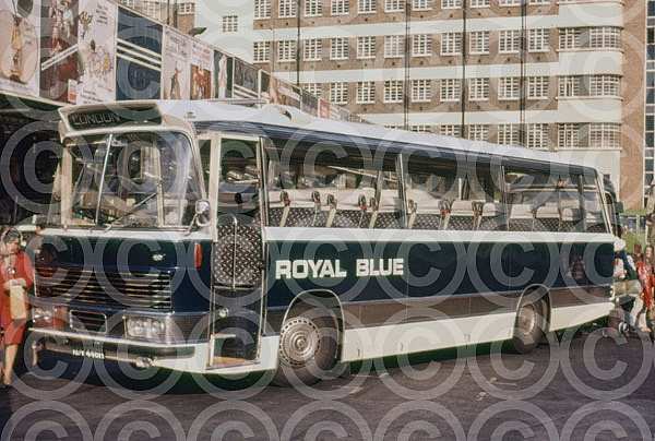 RDV446H Western National(Royal Blue)