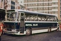 RDV446H Western National(Royal Blue)