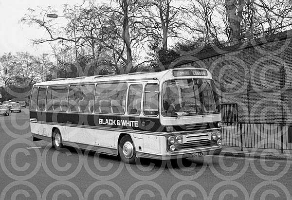 ADG330K Black & White,Cheltenham