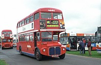 JJD431D London Metroline London Buses London Transport