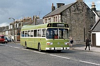 CSD199T AA(Young),Ayr