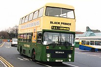 PTG95Y Black Prince,Morley Newport CT