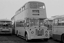 LFS423 D Coaches,Morriston Edinburgh CT
