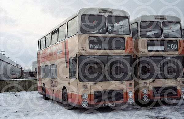 D315LNB GM Buses